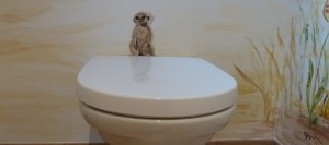 Toilettes "La savane" - Suricate